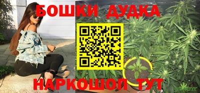 твердый Краснознаменск