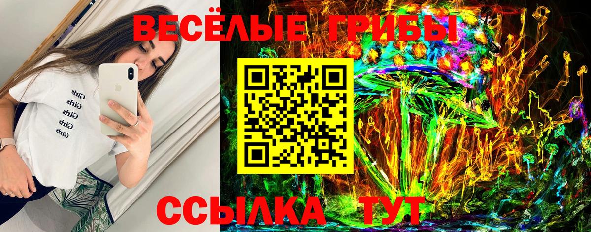 Галлюциногенные грибы мухоморы Десногорск